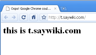 t.saywiki.com设置成功